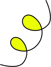 Shape